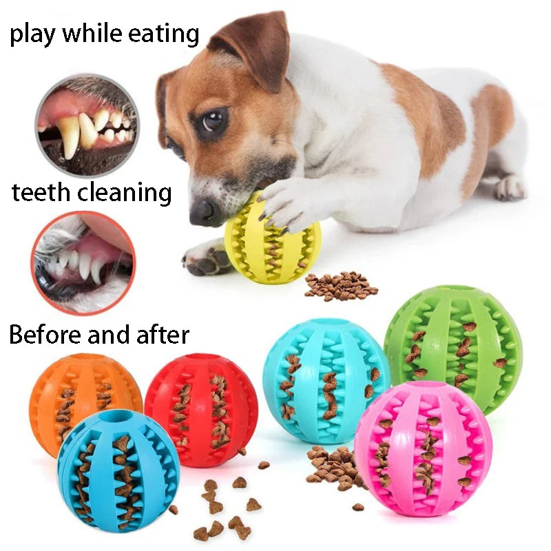 Interactive Treat Toy