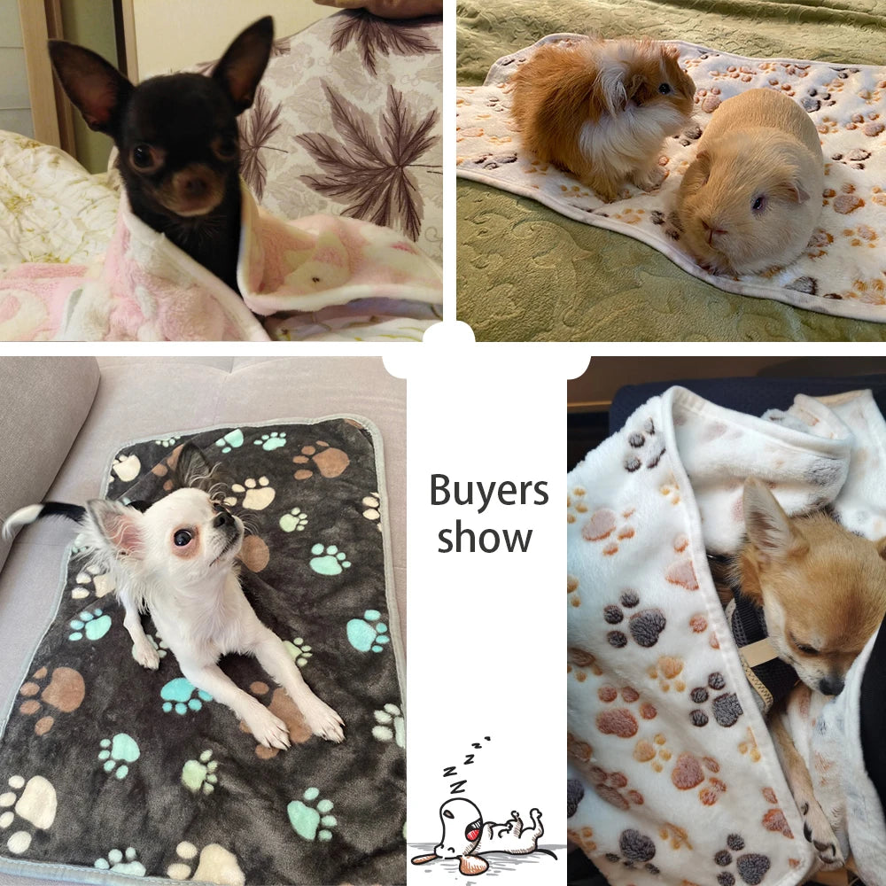 Fuzzy Pet Blanket