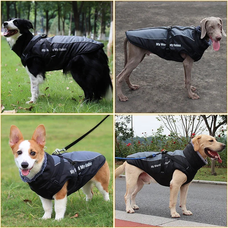 Waterproof Dog Coat With Harness