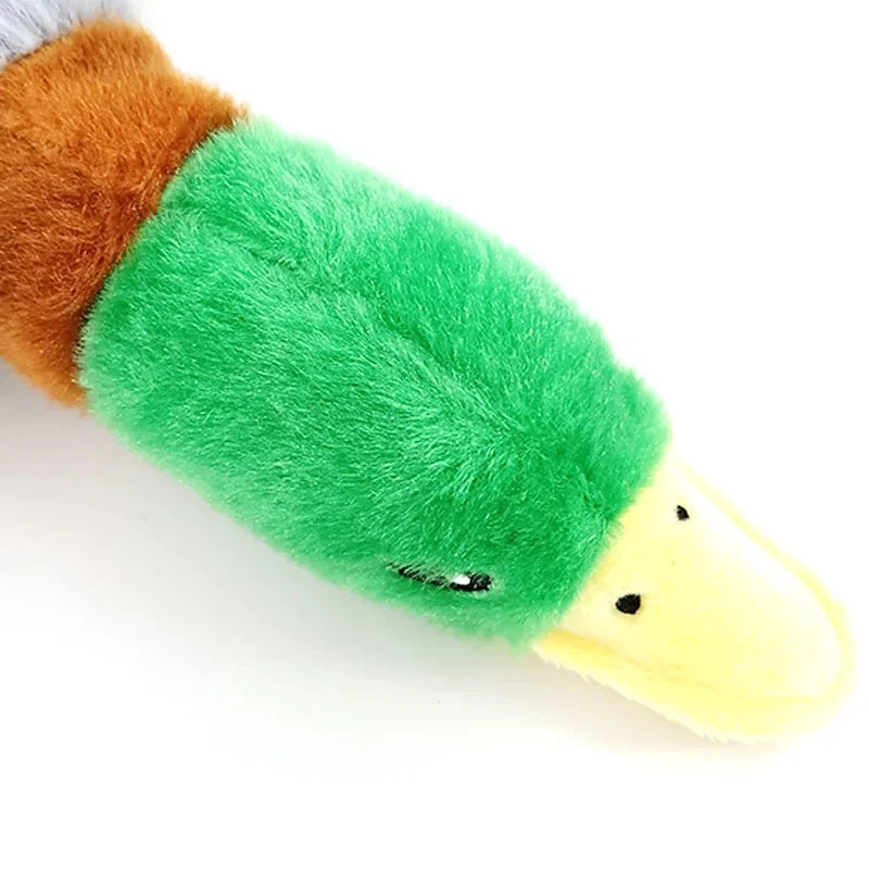 Quacky Duck Toy