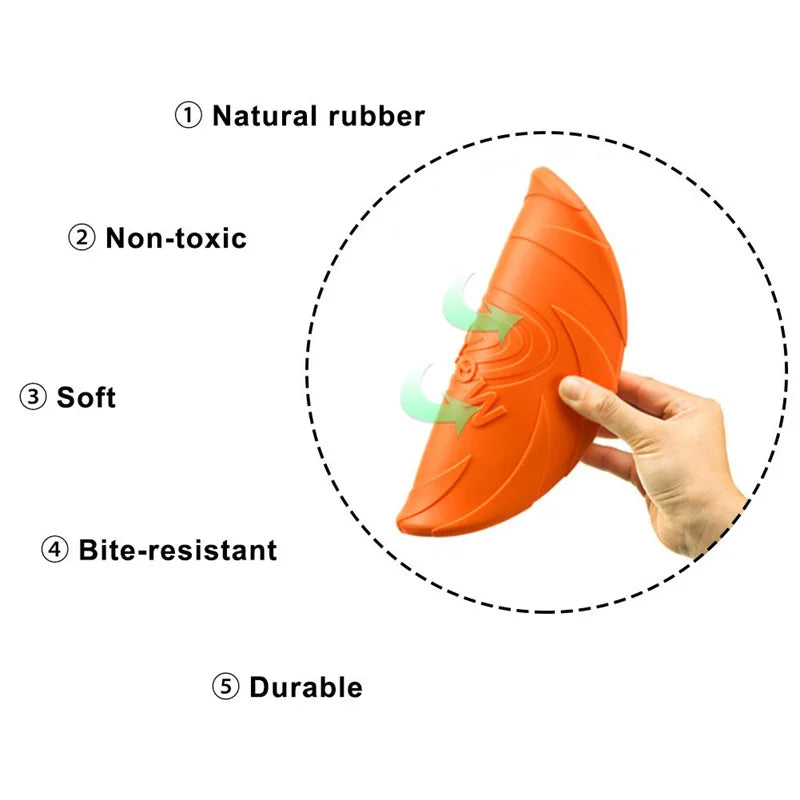Fetch Frisbee
