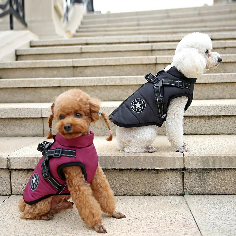 Jacket with Harness