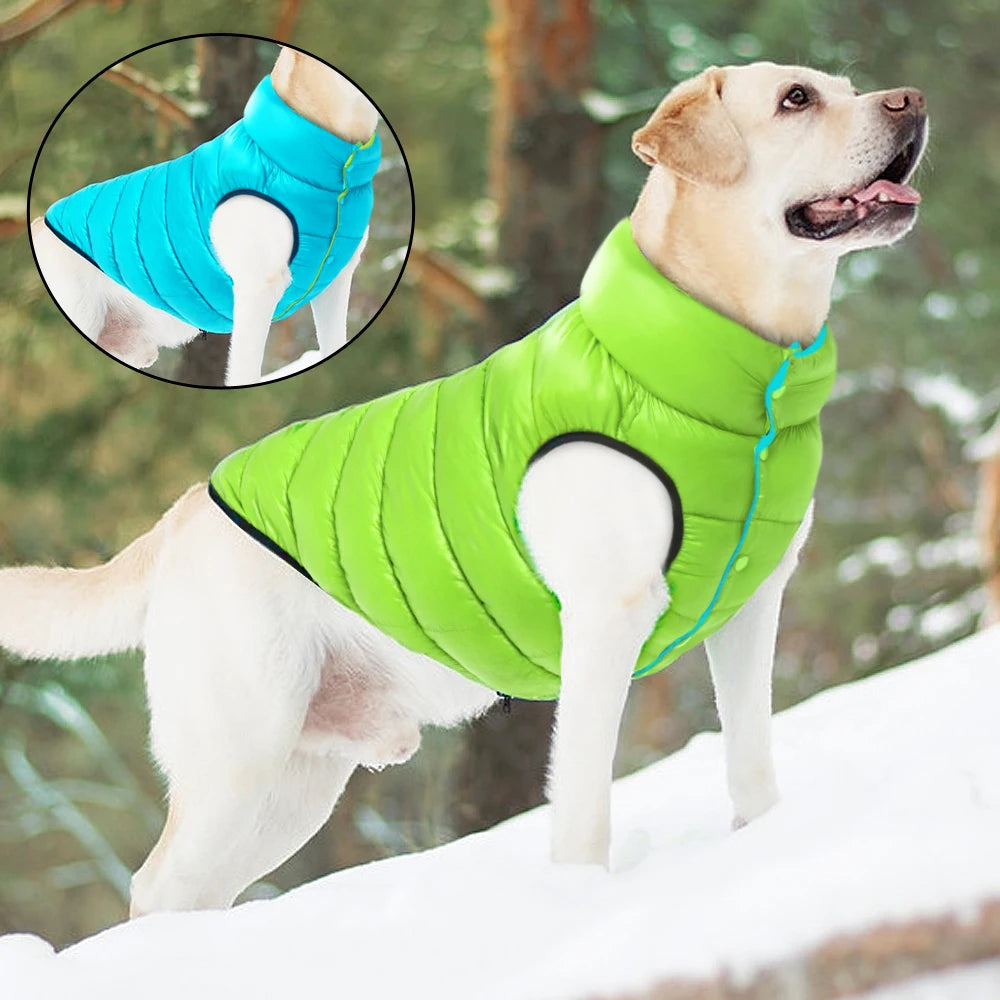 Reversible Dog Winter Jacket