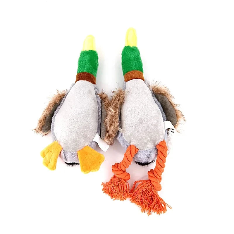 Quacky Duck Toy