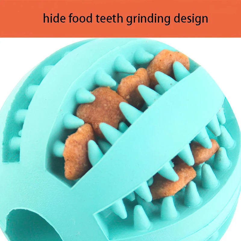 Interactive Treat Toy