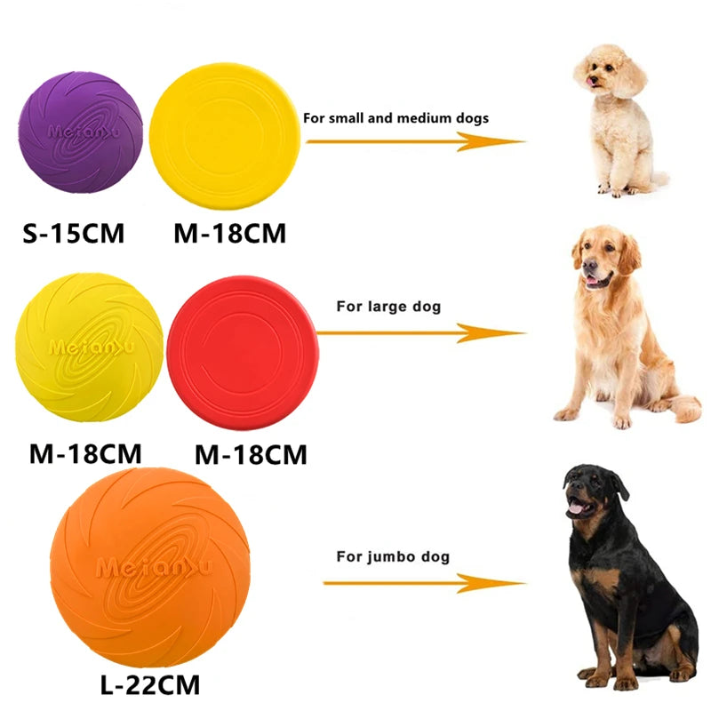 Fetch Frisbee