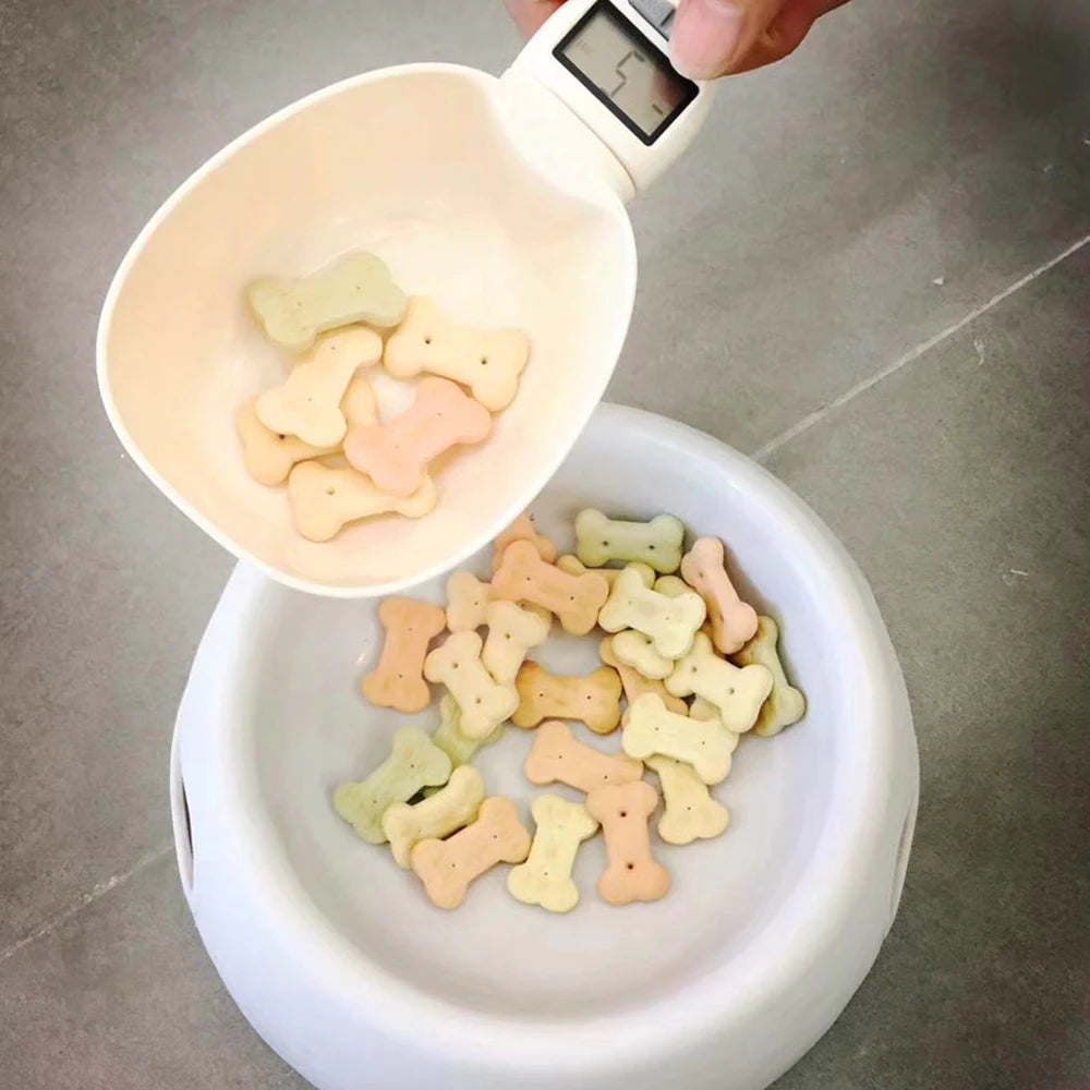 250ml Scale Scoop