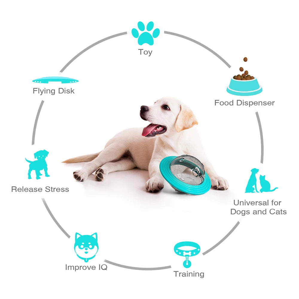 Saucer Treat Toy