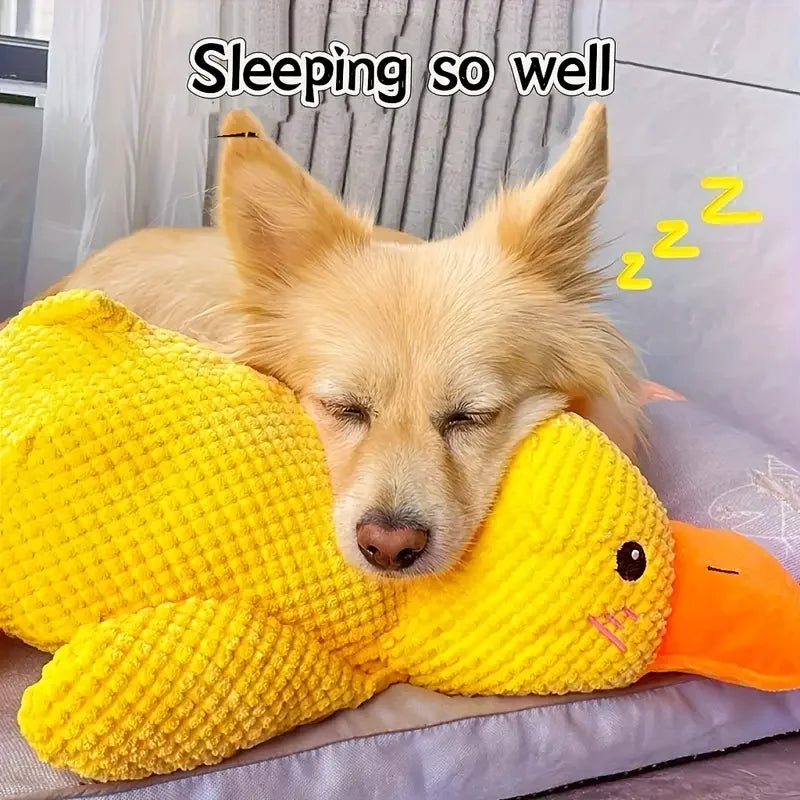 Plush Quack