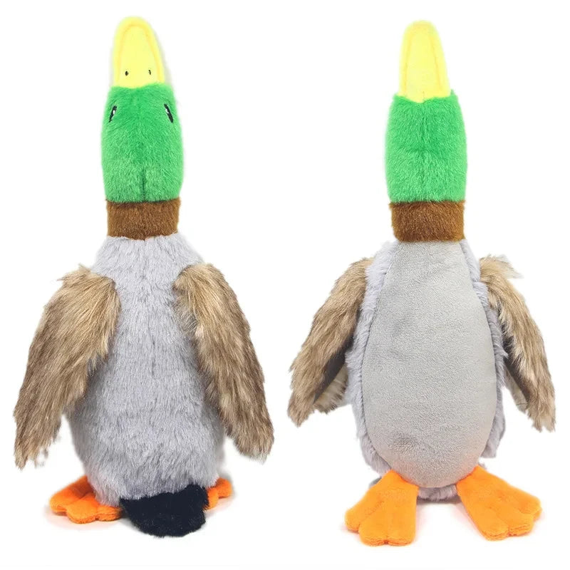 Quacky Duck Toy