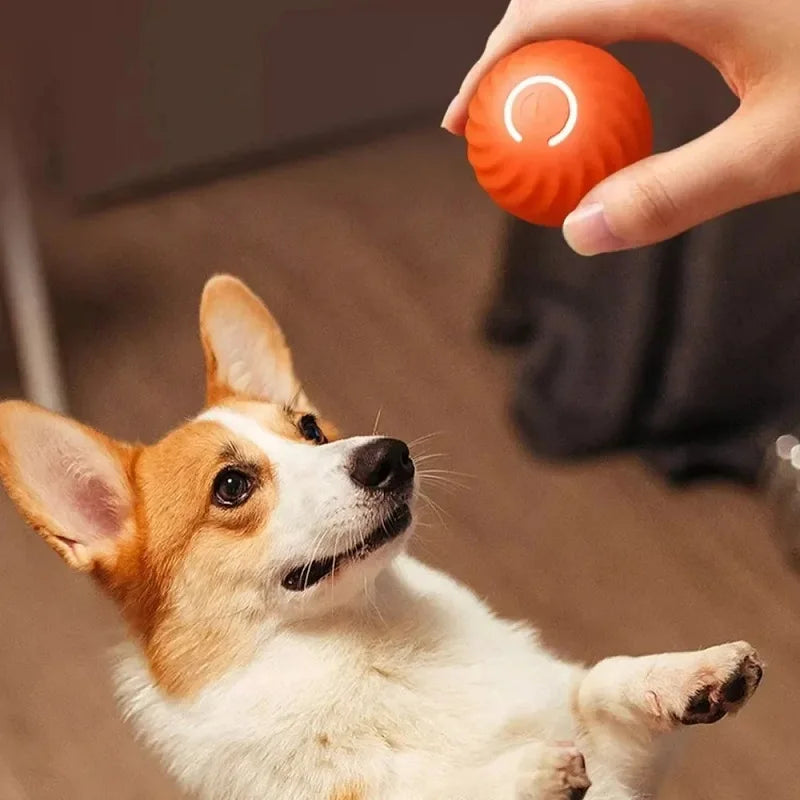 Automatic Rolling Ball