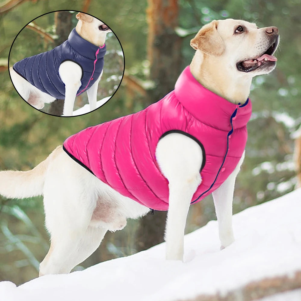 Reversible Dog Winter Jacket