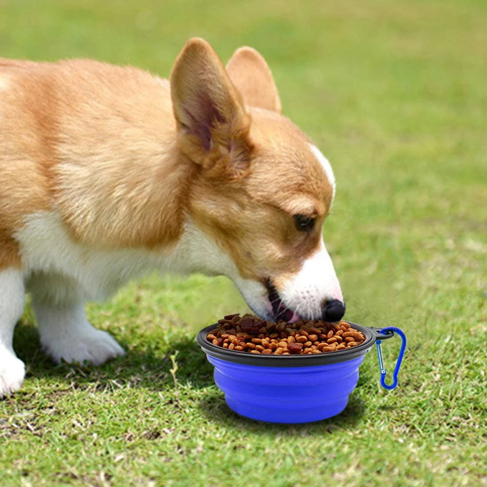 Collapsable Silicone Dog Feeder Bowl