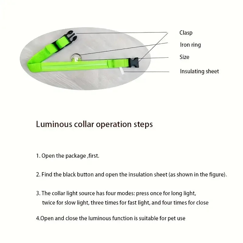 LED Safety Collar