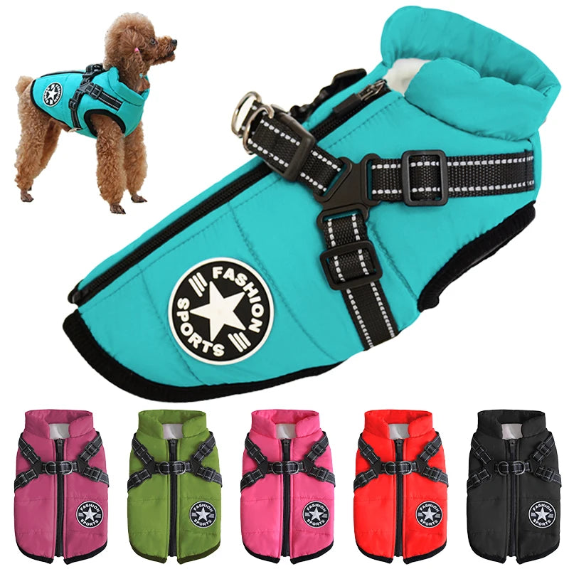 Jacket with Harness