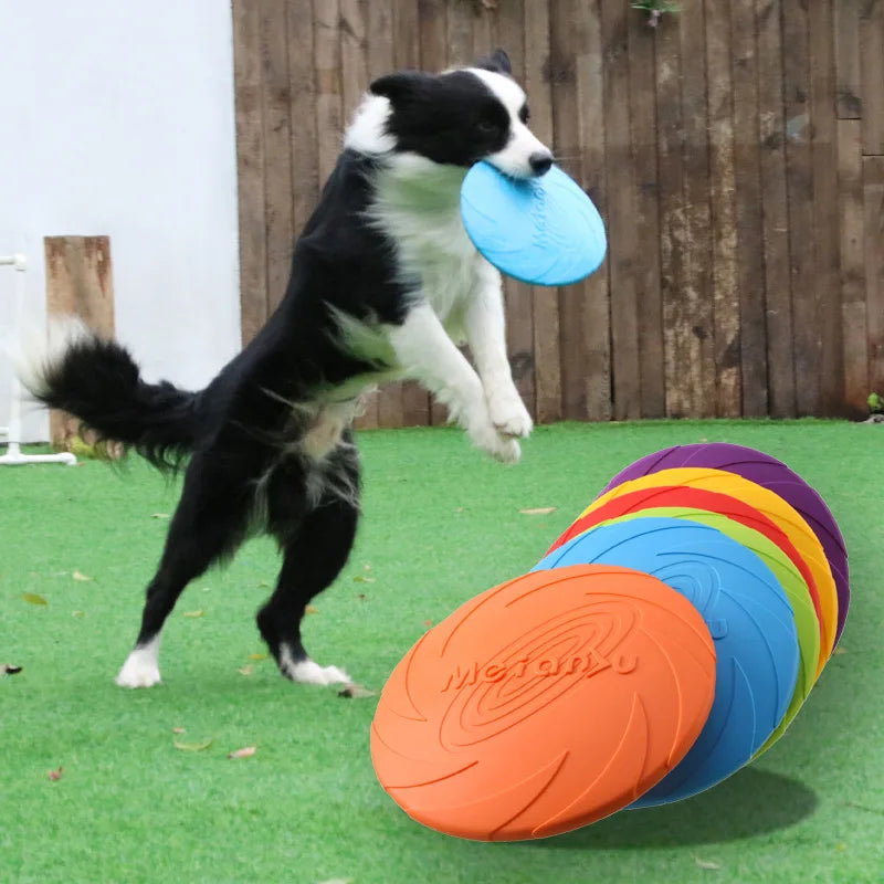 Fetch Frisbee