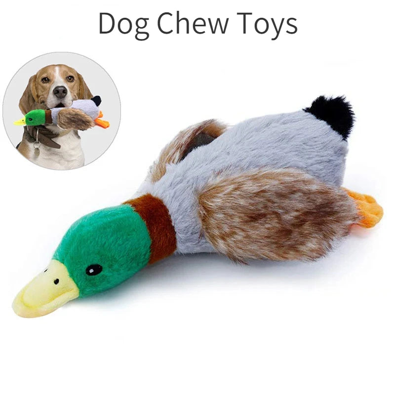 Quacky Duck Toy