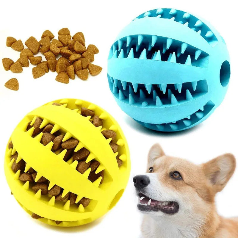 Interactive Treat Toy