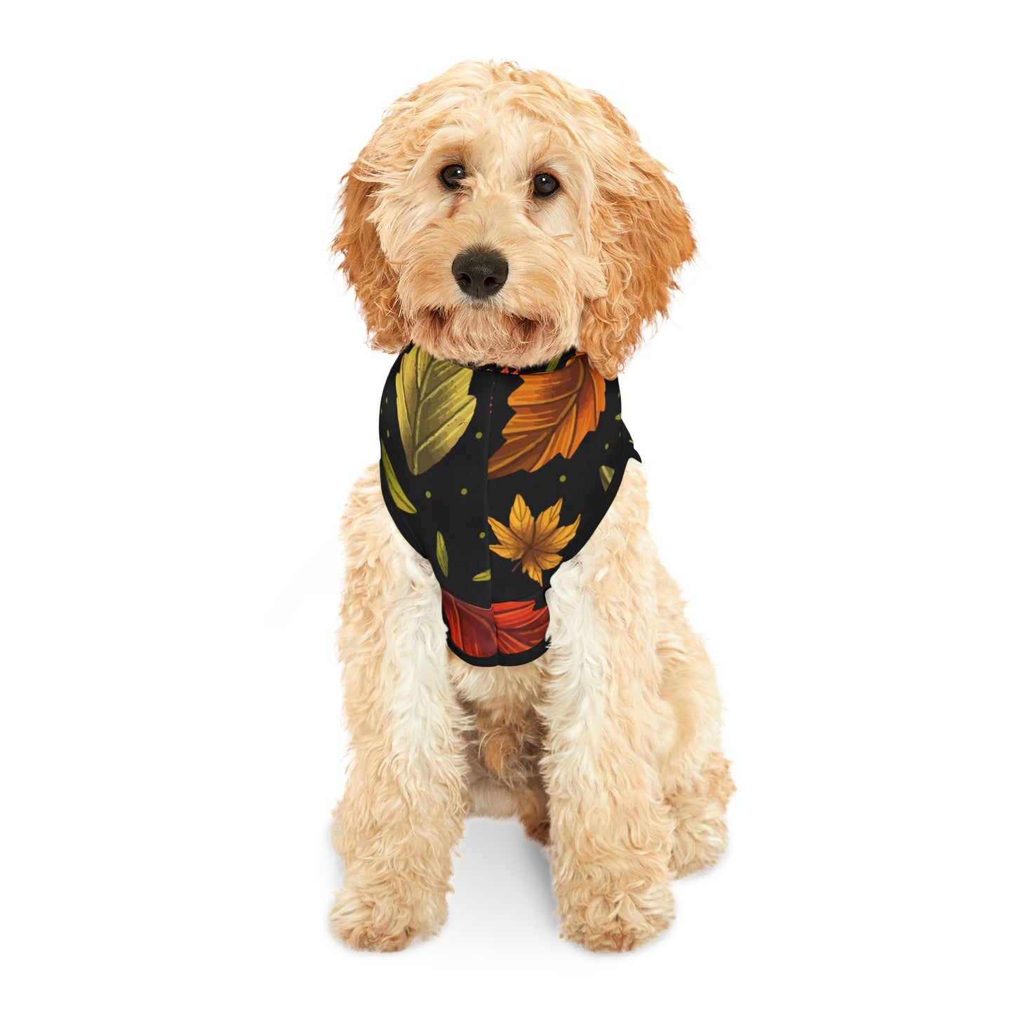 Autumn Leaves Pet Hoodie
