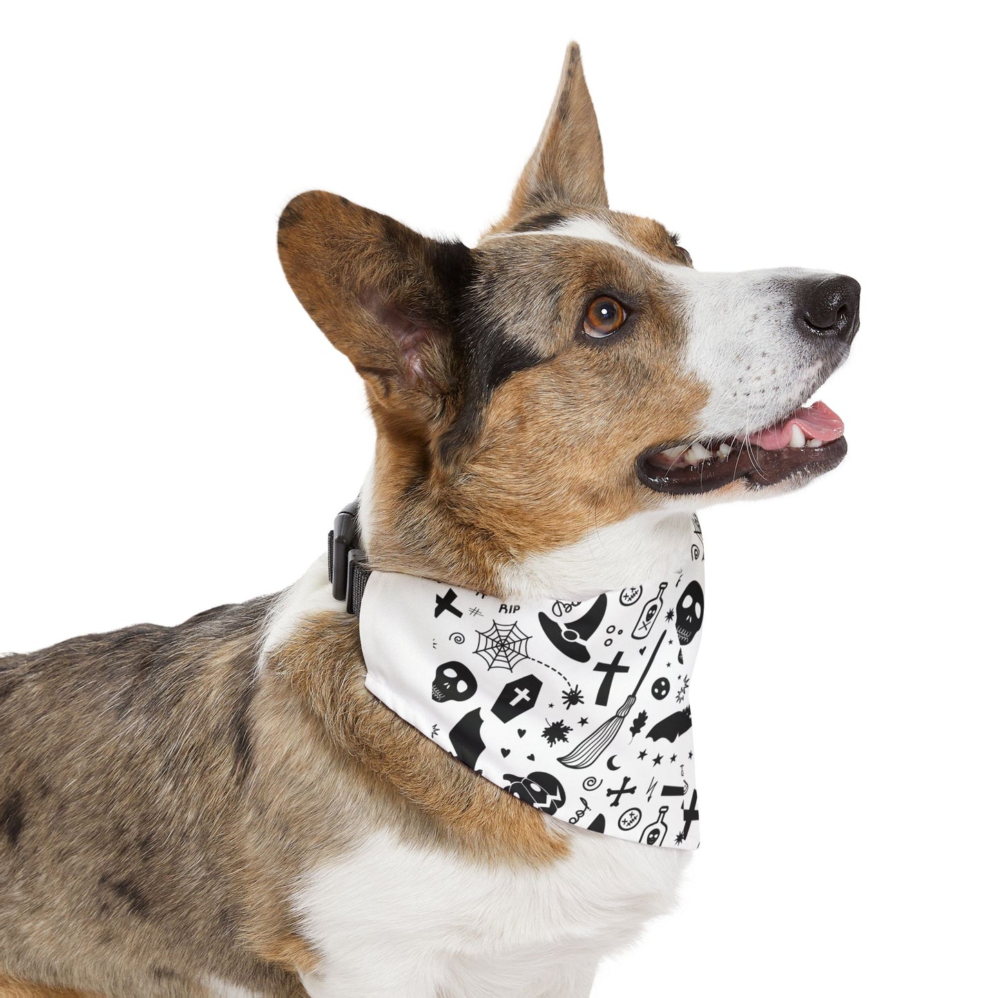 Spooky Dookie Pet Bandana Collar