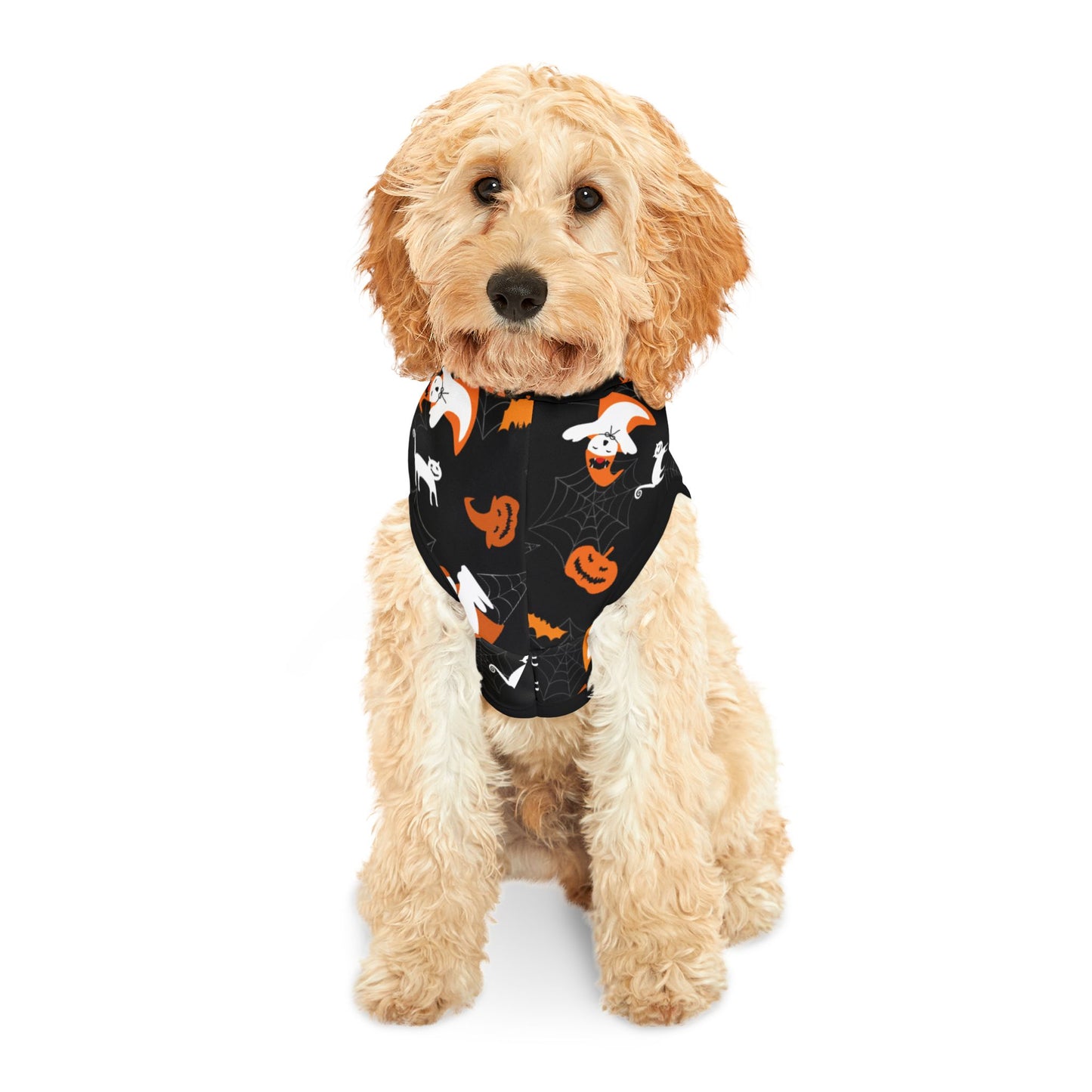 Halloween Pet Hoodie