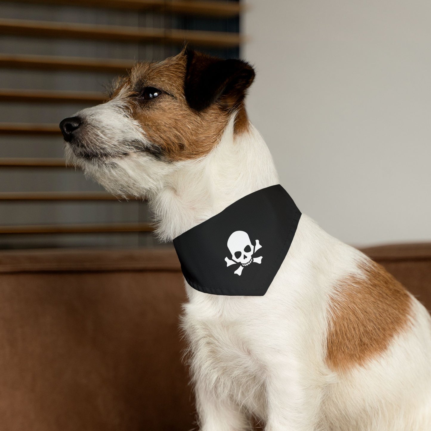 Skull & Bones Pet Bandana Collar