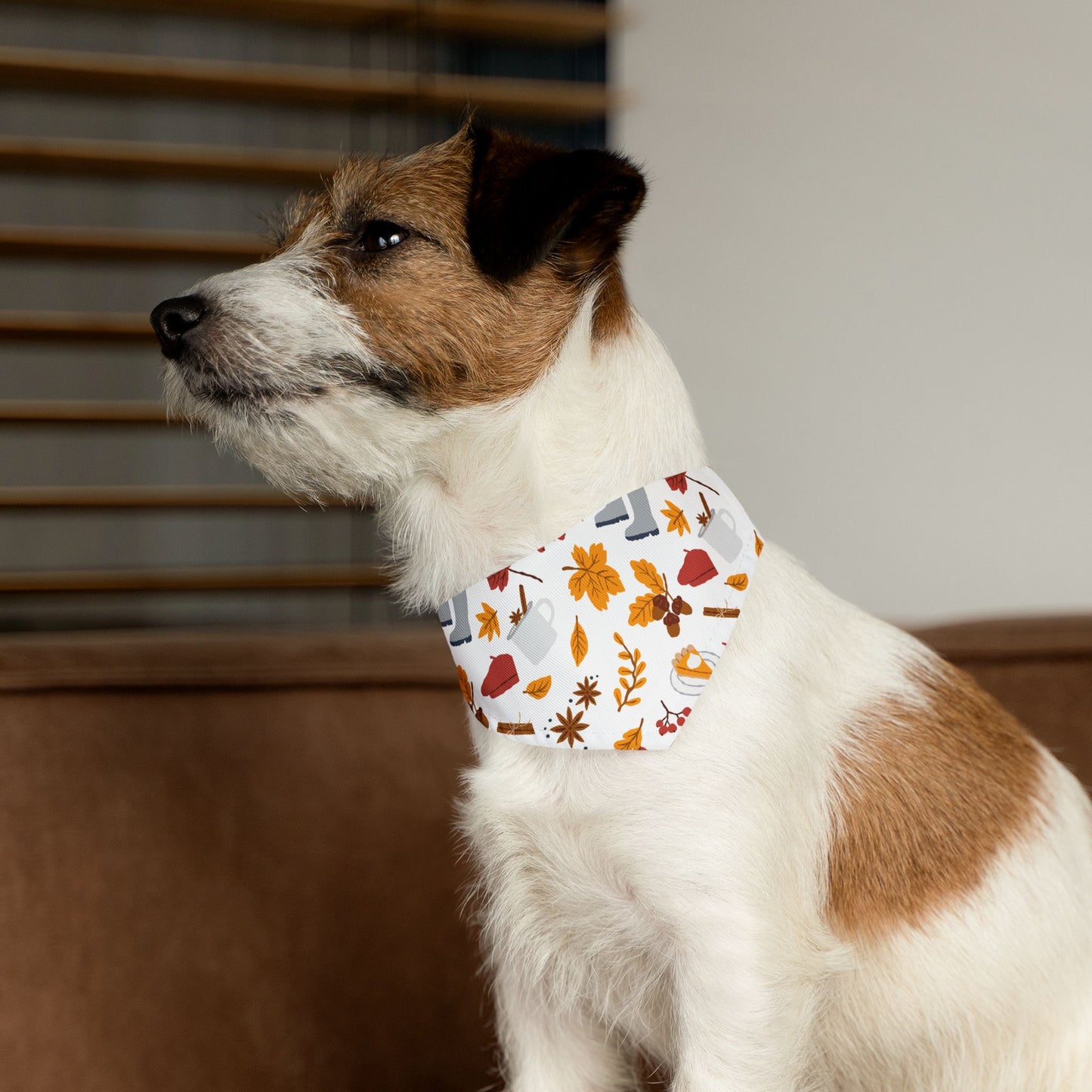 Autumn Pet Bandana Collar