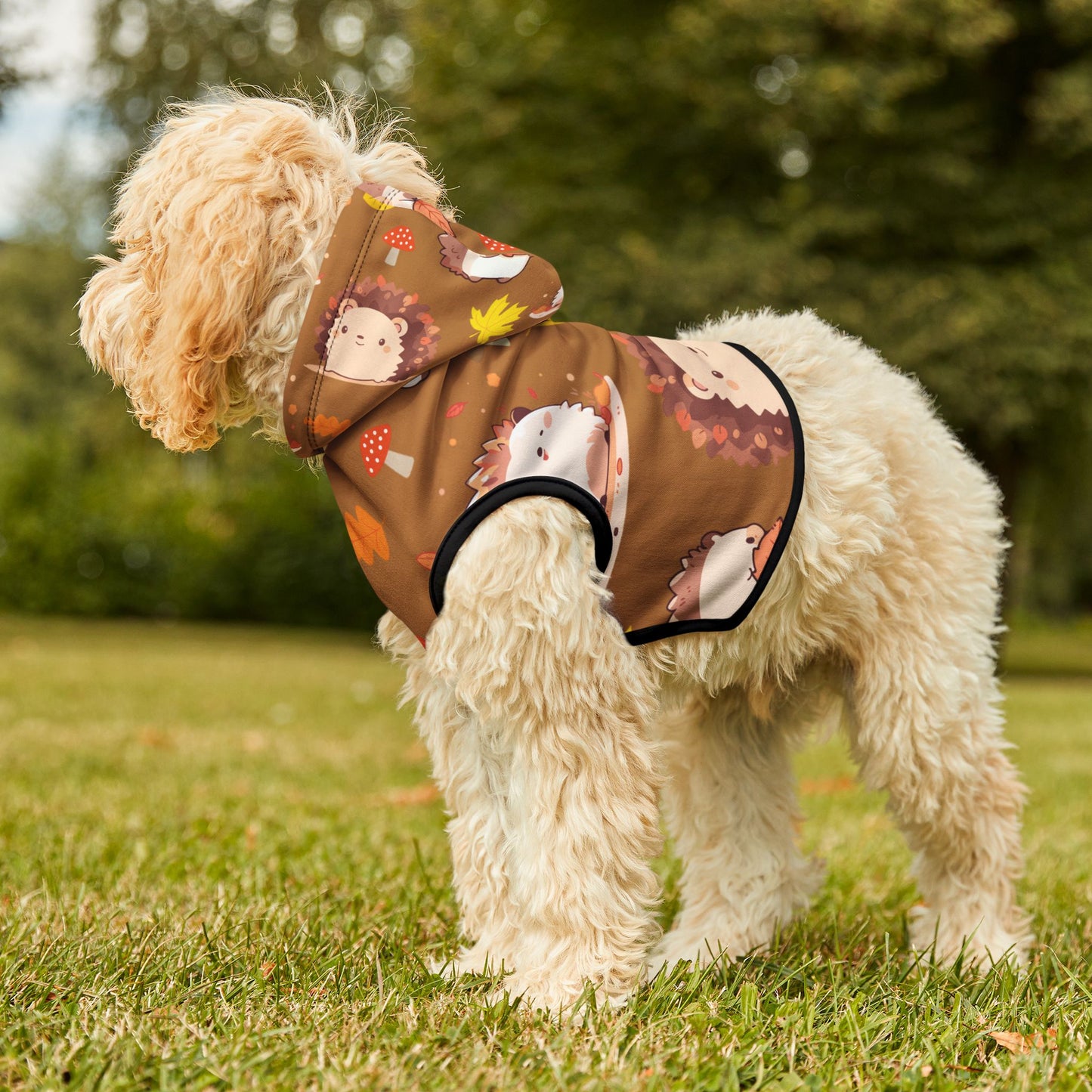 Cozy Hedgehog Pet Hoodie