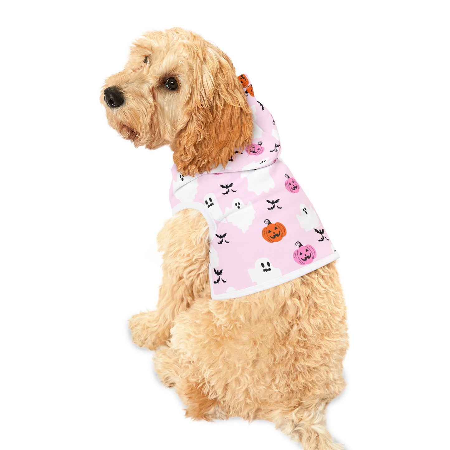 Halloween Pet Hoodie