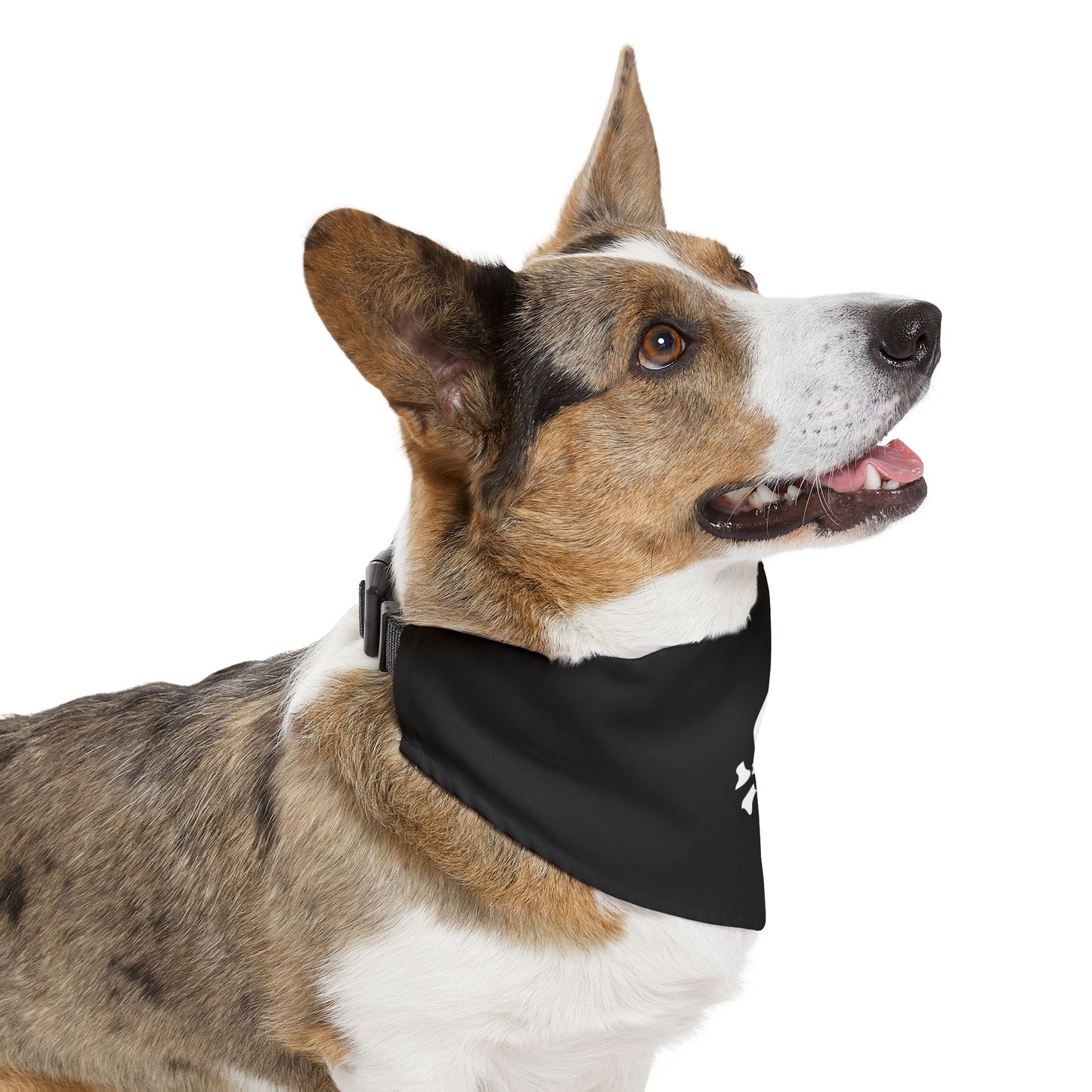 Skull & Bones Pet Bandana Collar