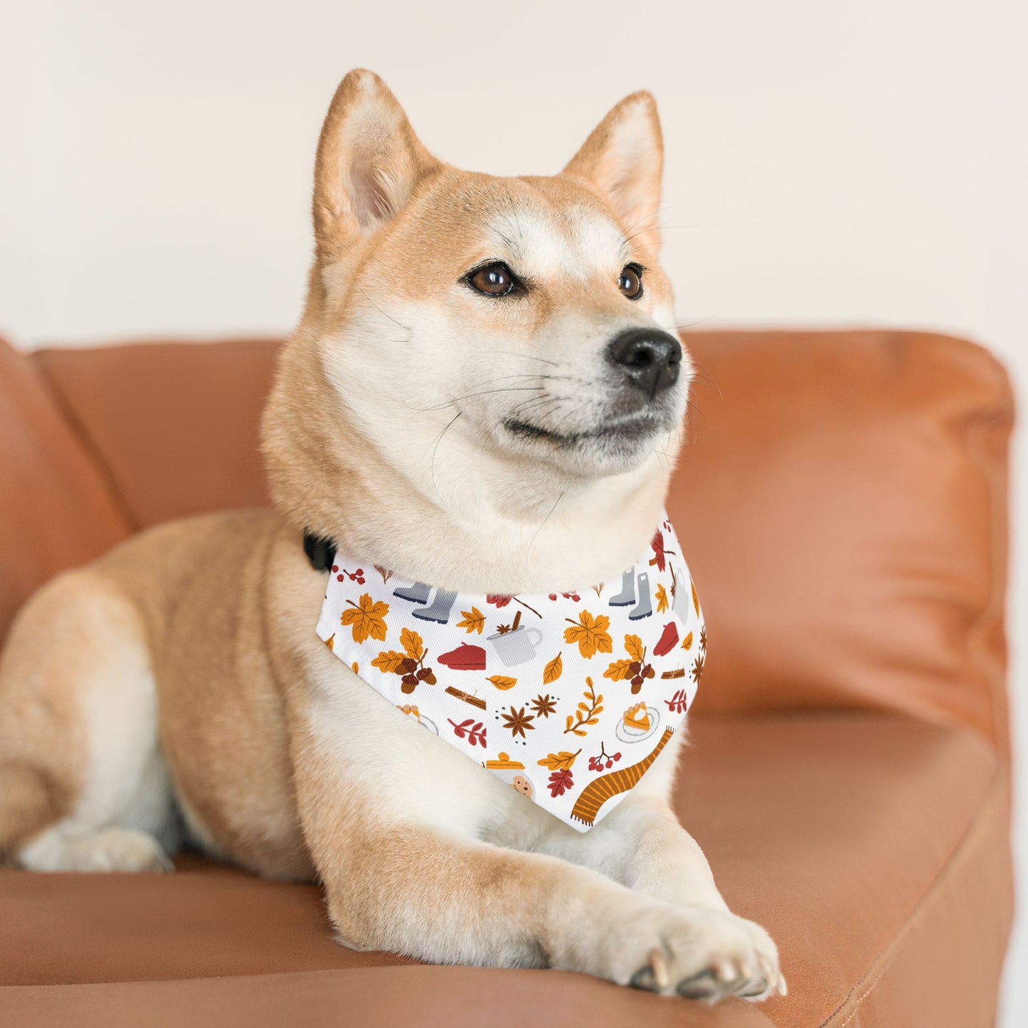 Autumn Pet Bandana Collar
