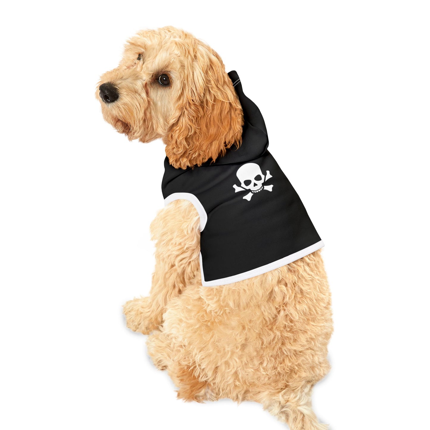 Skull n Bones Hoodie