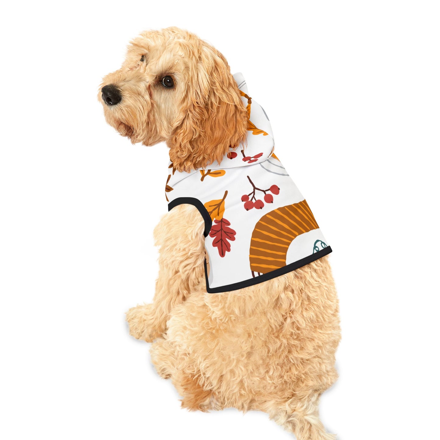 Autumn Leaves Pet Hoodie