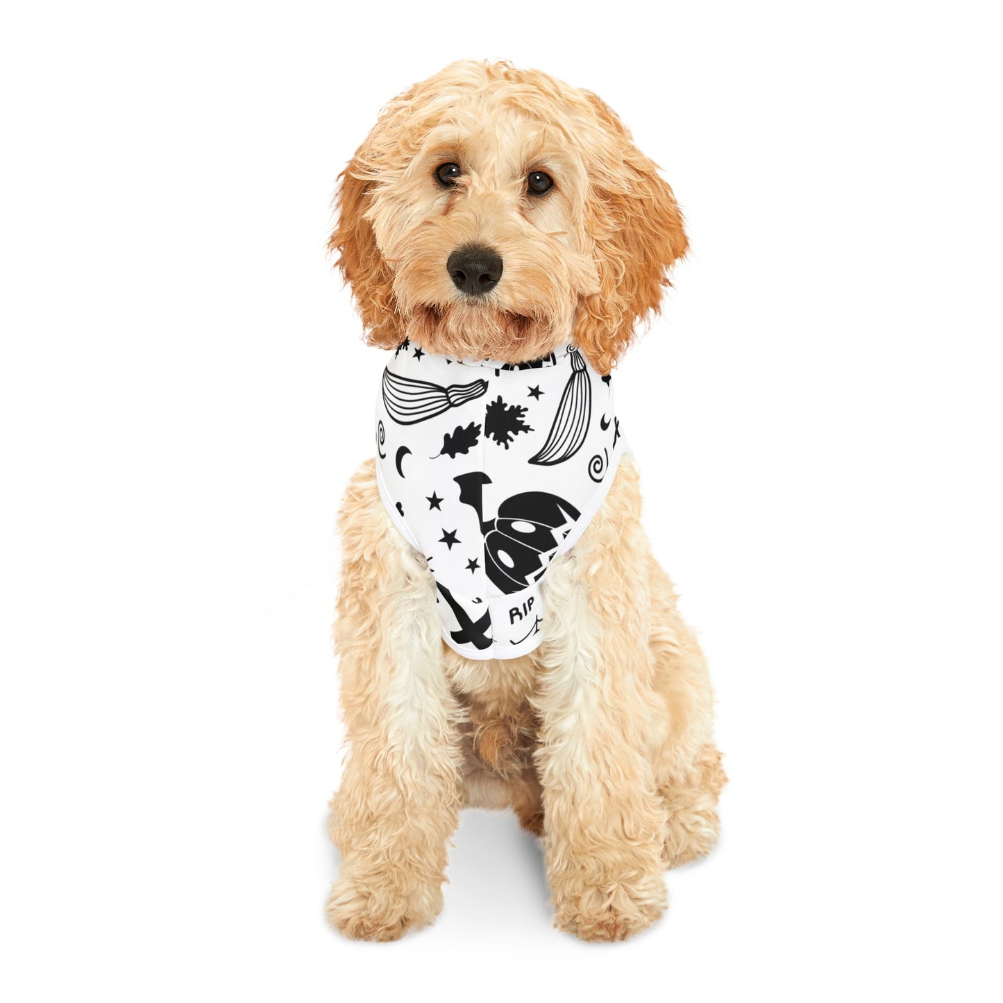 Spooky Dookie Pet Hoodie