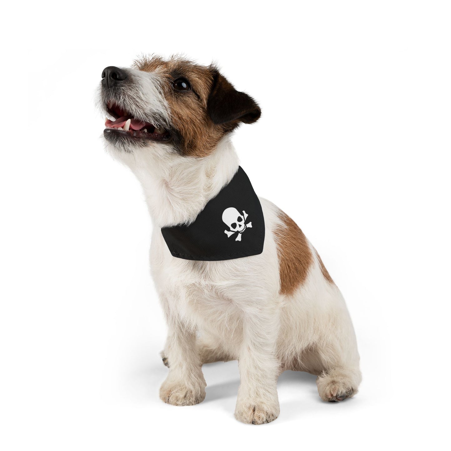 Skull & Bones Pet Bandana Collar