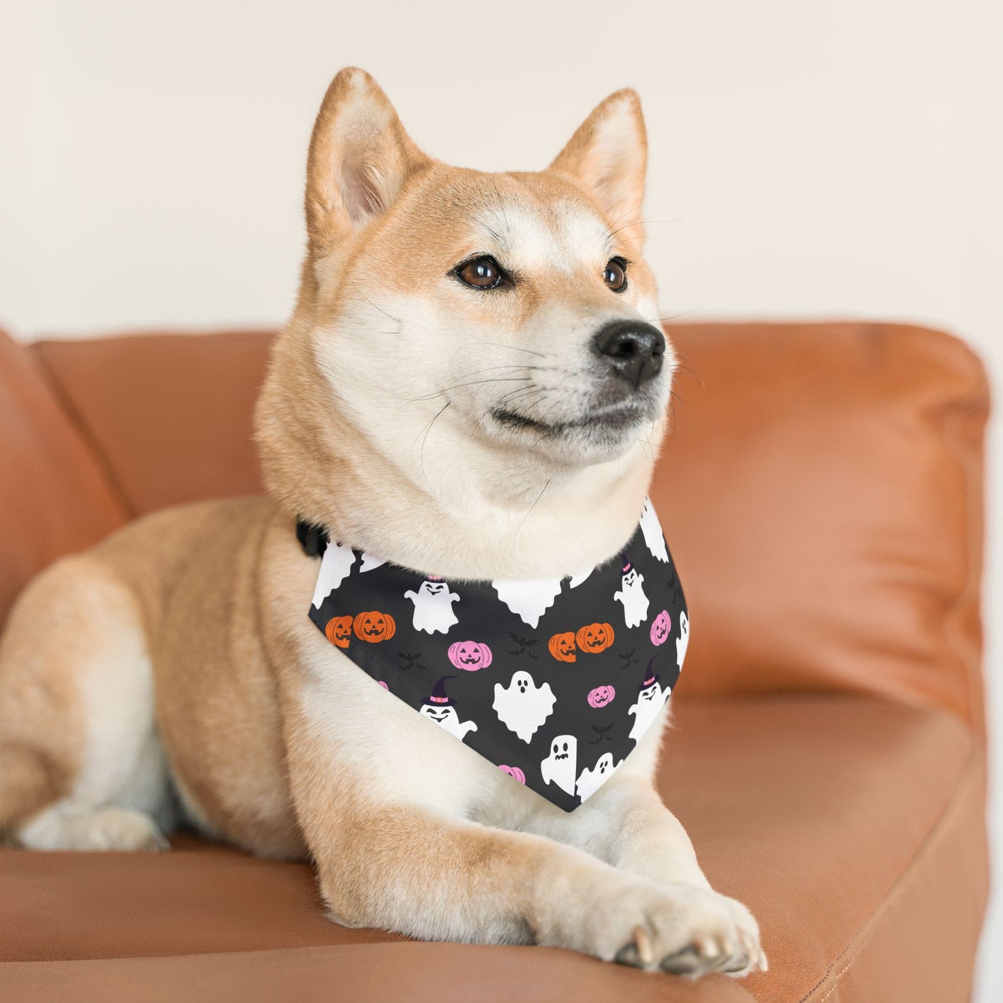 Halloween Pet Bandana Collar