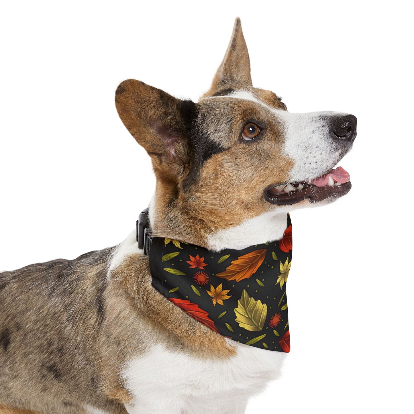 Autumn Leaves Pet Bandana Collar