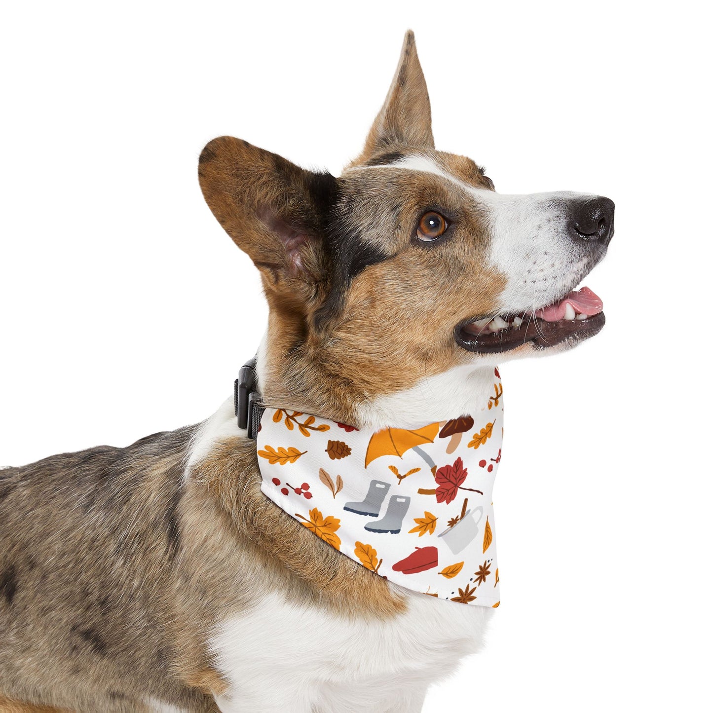 Autumn Pet Bandana Collar