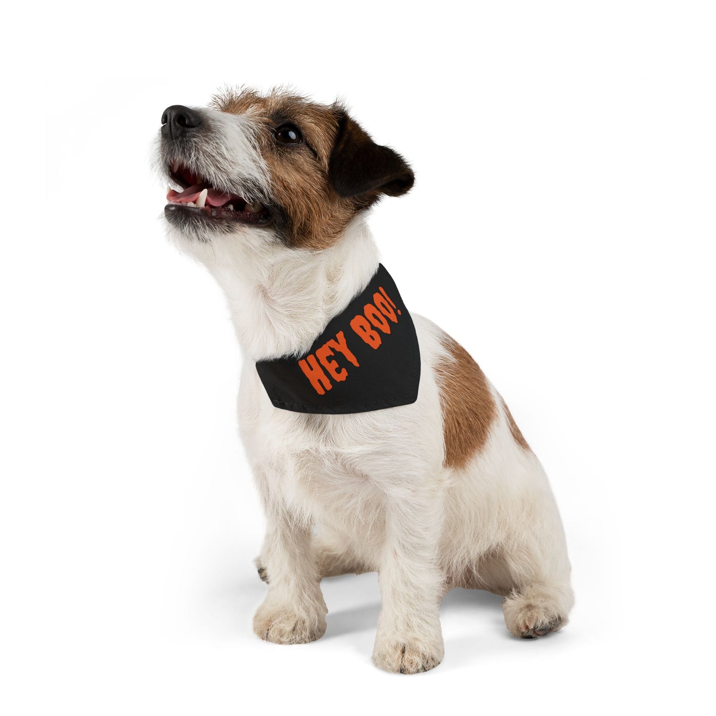 Halloween Pet Bandana Collar