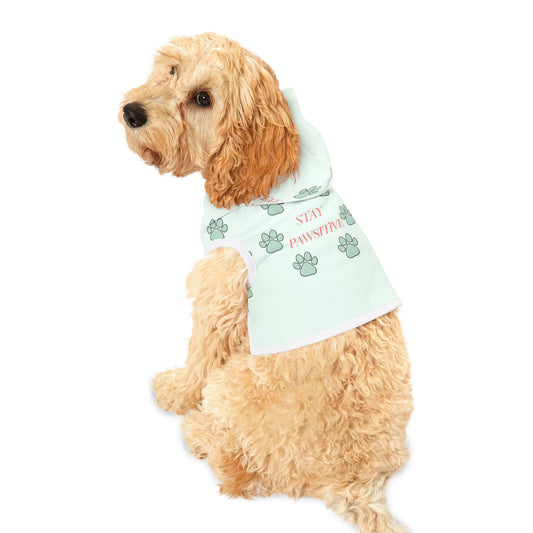 Stay Pawsitive Pet Hoodie