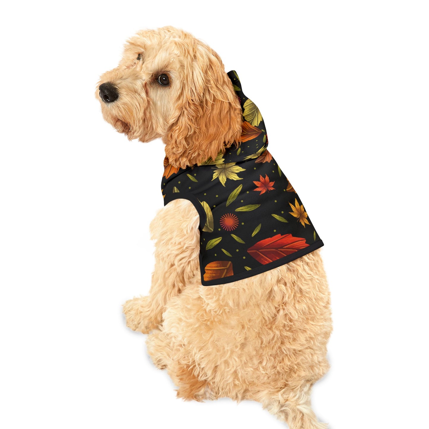 Autumn Leaves Pet Hoodie
