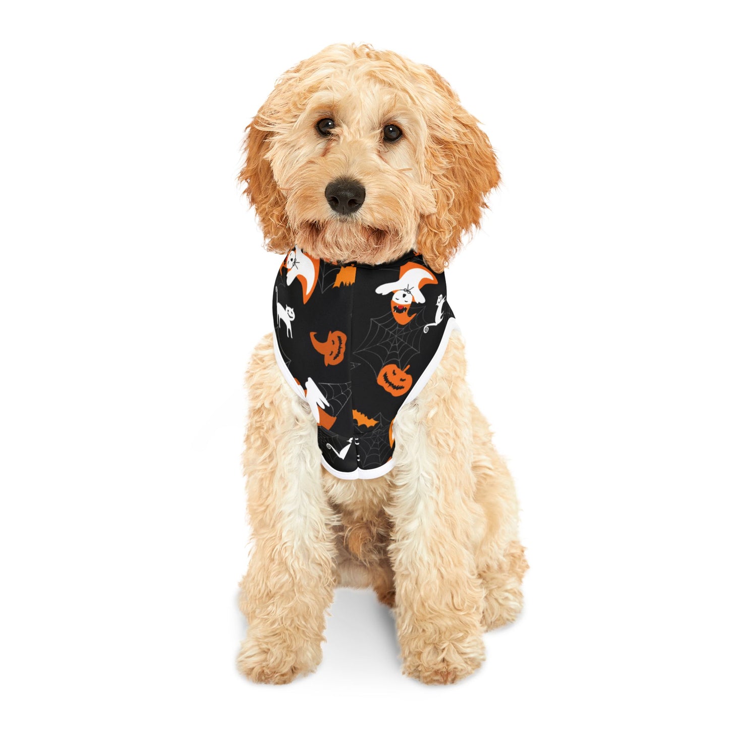 Halloween Pet Hoodie