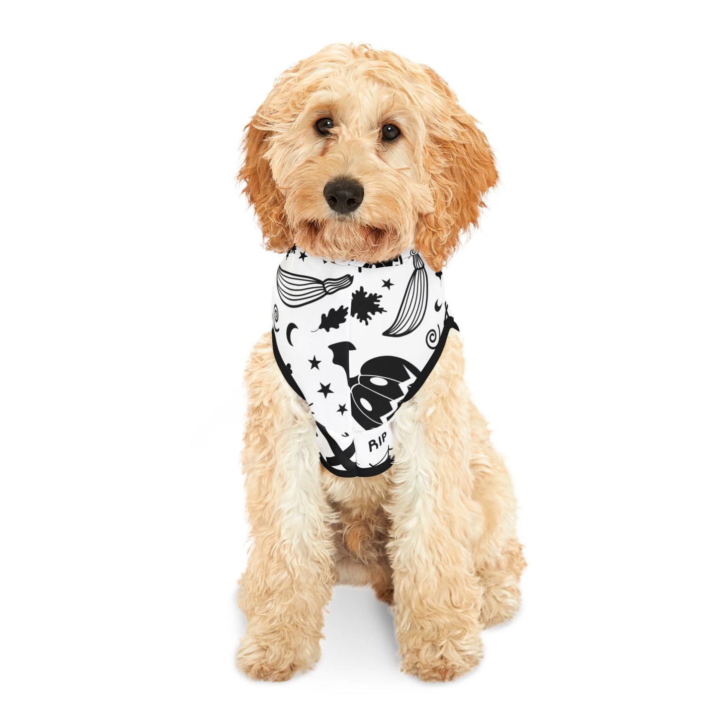 Spooky Dookie Pet Hoodie