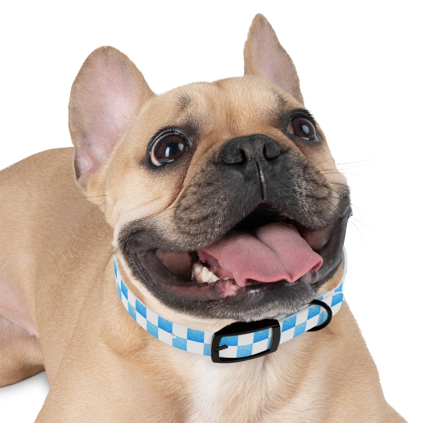 Blue Baloo Collar