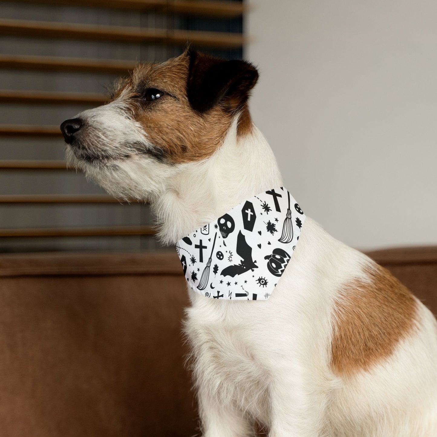 Spooky Dookie Pet Bandana Collar