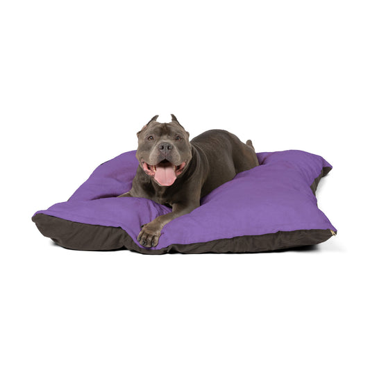 Barkle Purple Bed