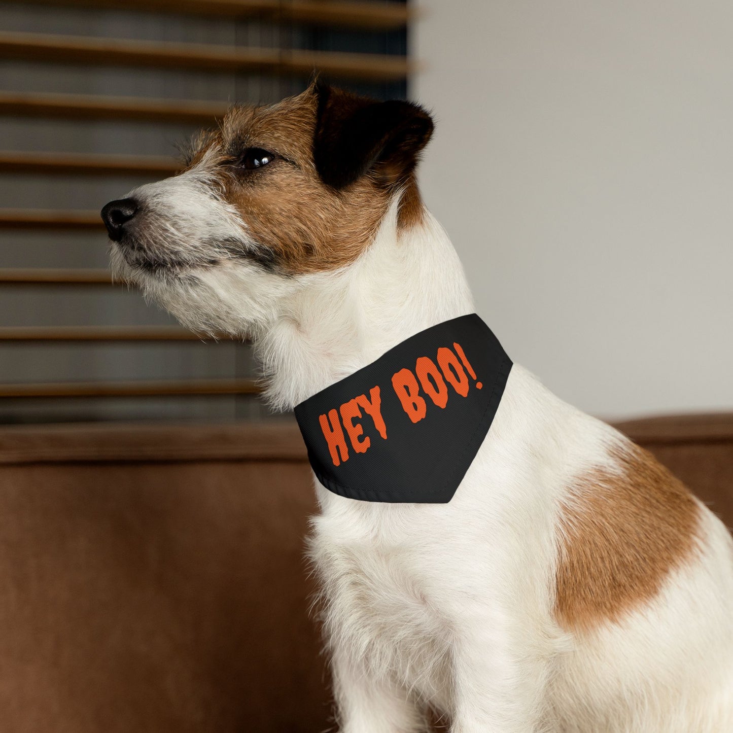 Halloween Pet Bandana Collar