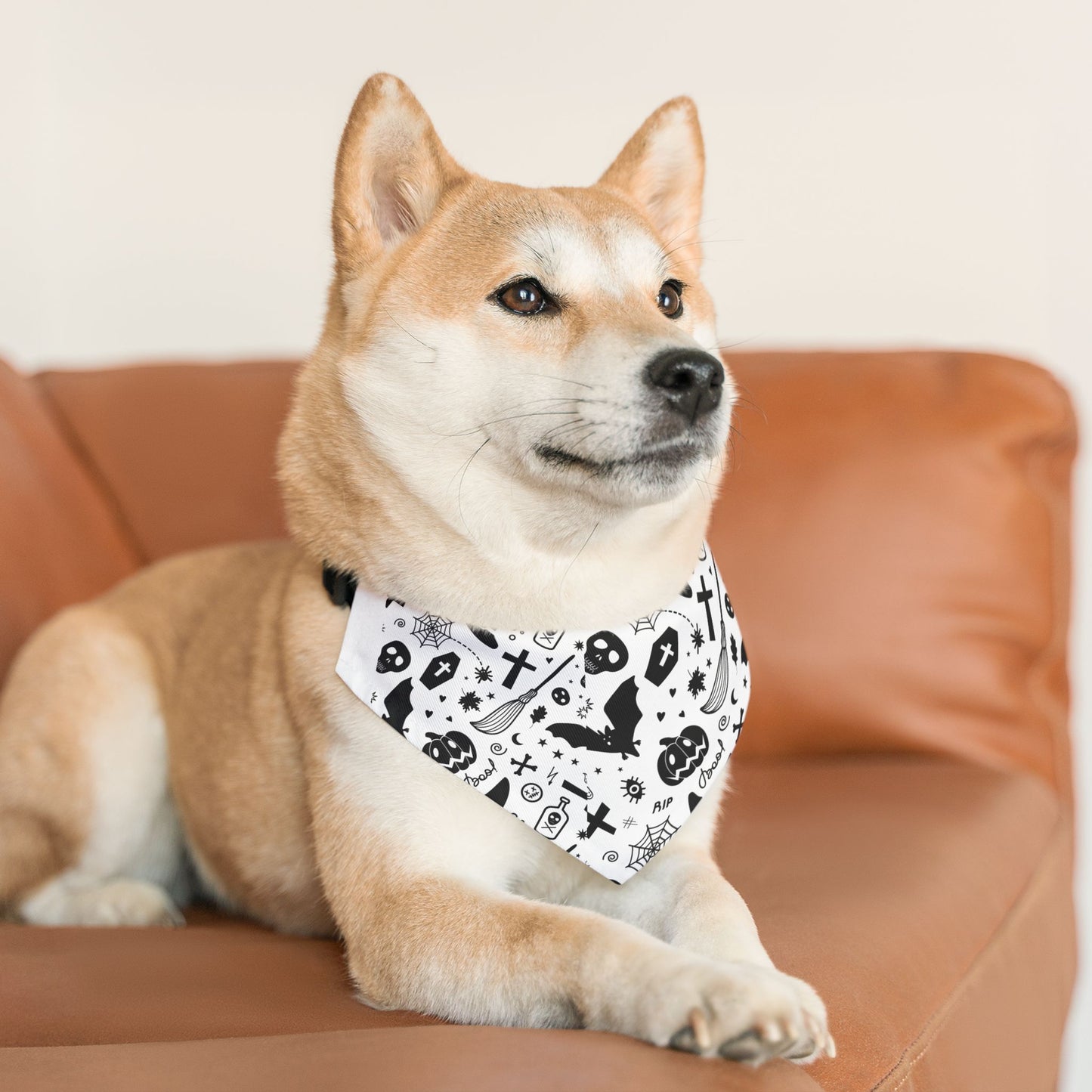Spooky Dookie Pet Bandana Collar