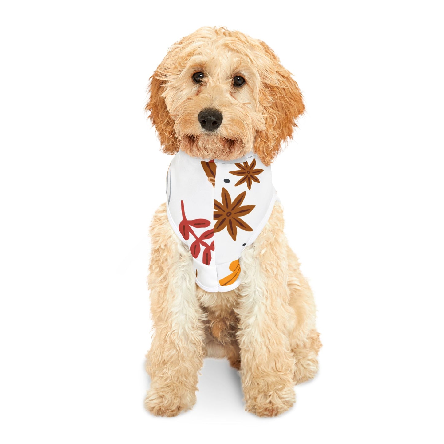 Autumn Leaves Pet Hoodie