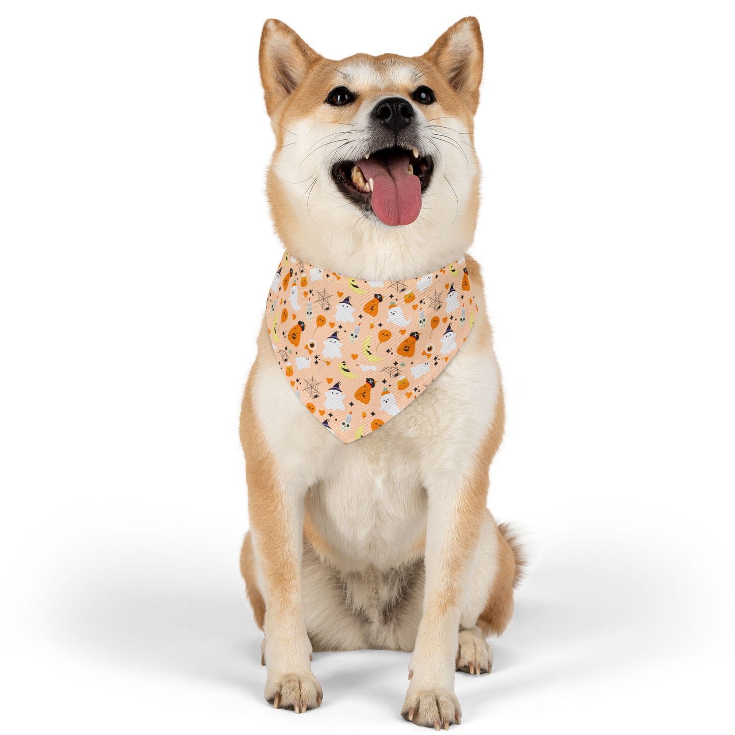 Bandana Collar
